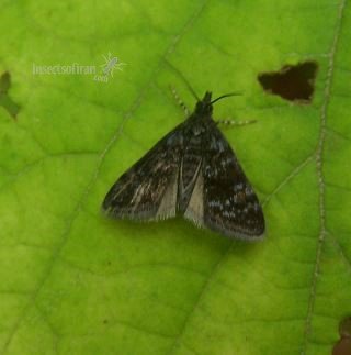 not known