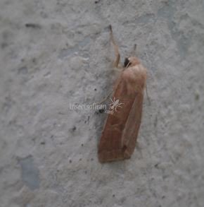 not known